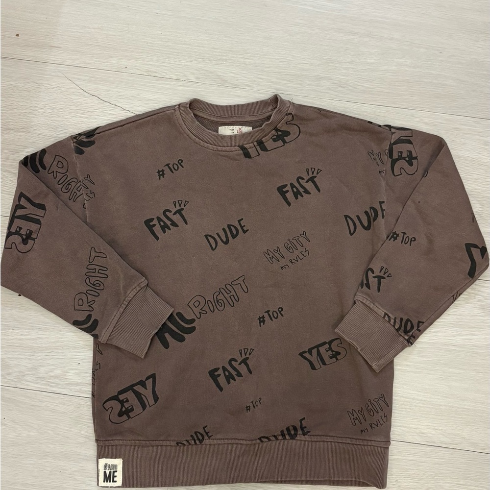 Zara Brown Graphic Kids Sweatshirt